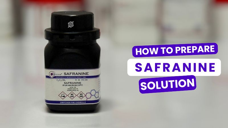 Preparation of Safranin Stain in the Laboratory
