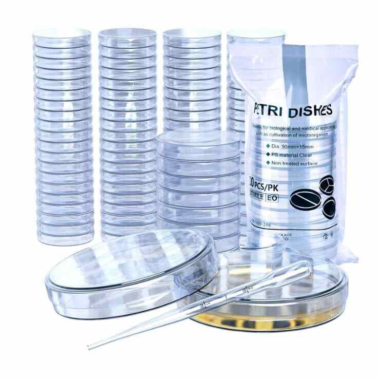 Petri Dish