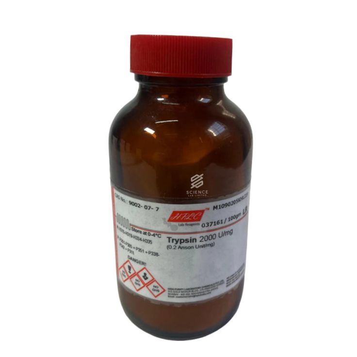 Trypsin