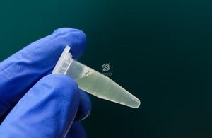 Eppendorf  Tubes