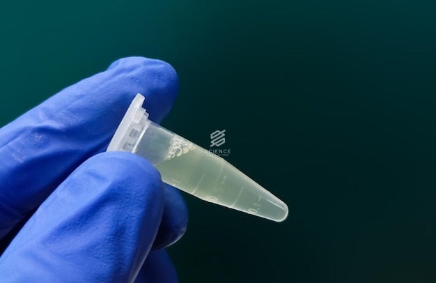 Eppendorf  Tubes