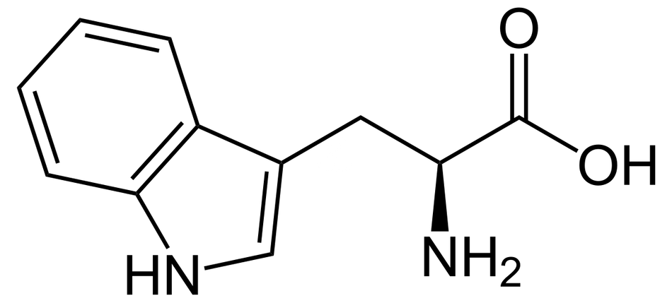 L-Tryptophan