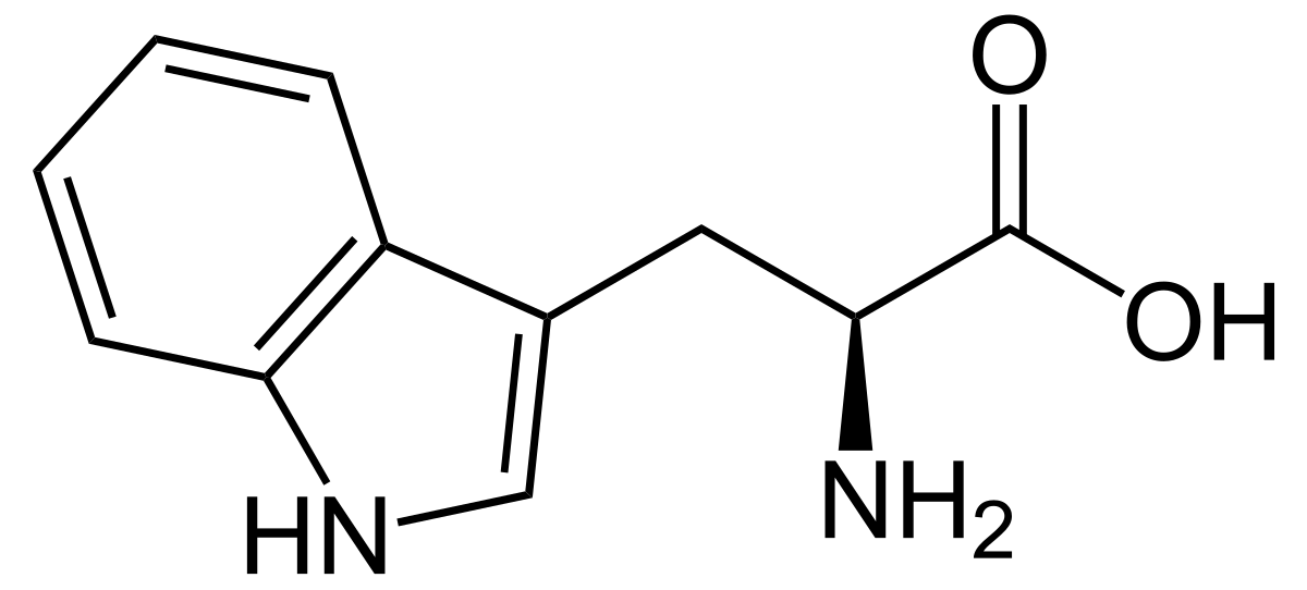 L-Tryptophan
