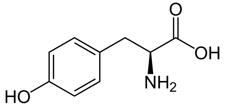 L-Tyrosine