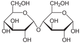 Maltose