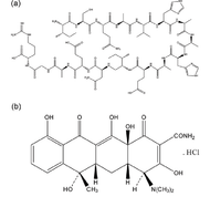 Albumin From Egg