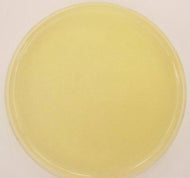 Nutrient Agar