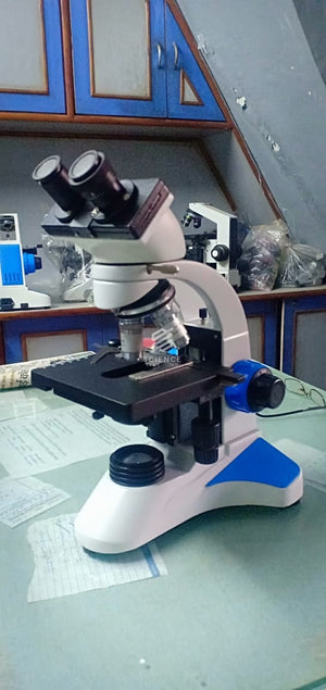 Laboratory Sink