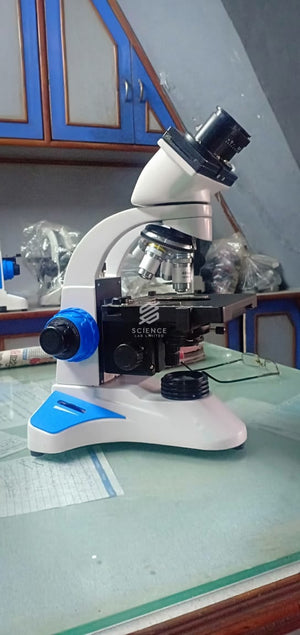 Laboratory Sink