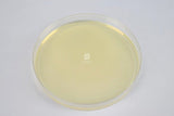 Potato Dextrose Agar