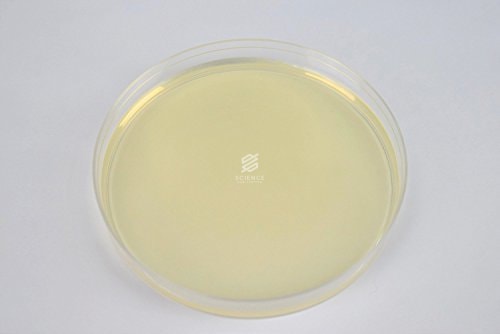 Potato Dextrose Agar