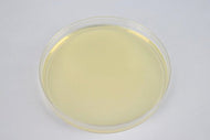 Potato Dextrose Agar