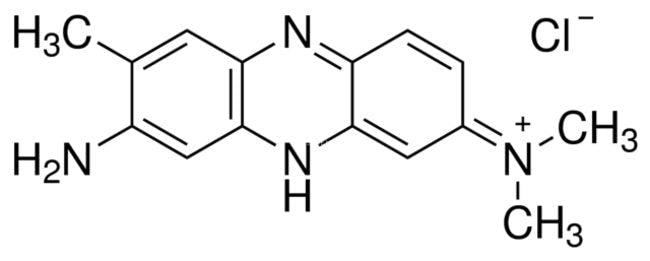 Neutral Red Solution